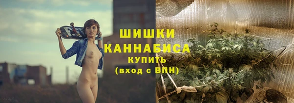 шишки Вяземский