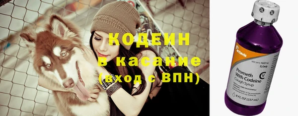 шишки Вяземский