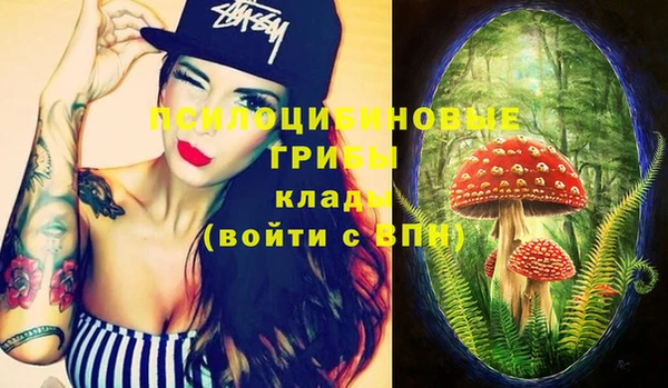 шишки Вяземский