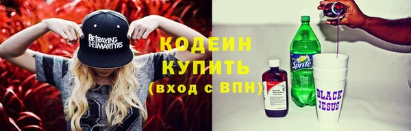 шишки Вяземский