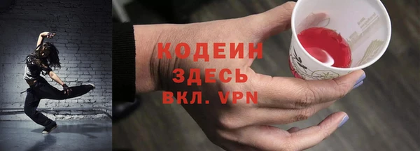 шишки Вяземский