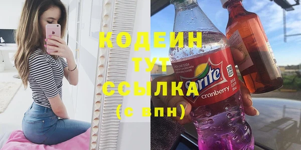 шишки Вяземский