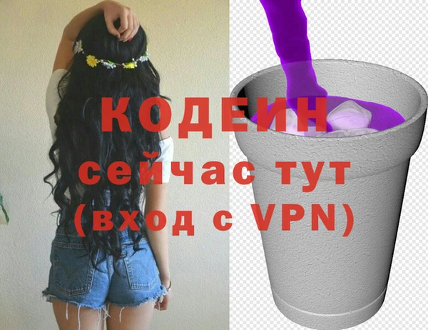шишки Вяземский